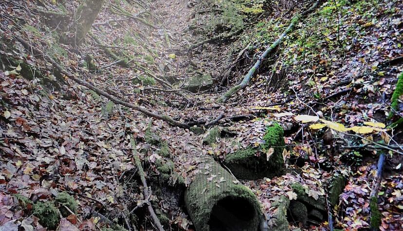 Auslaufrohr im Bachgerinne des Goggenbachs unterhalb der Altablagerung Buchwald bei Trockenwetterabfluss.