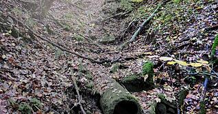 Auslaufrohr im Bachgerinne des Goggenbachs unterhalb der Altablagerung Buchwald bei Trockenwetterabfluss.