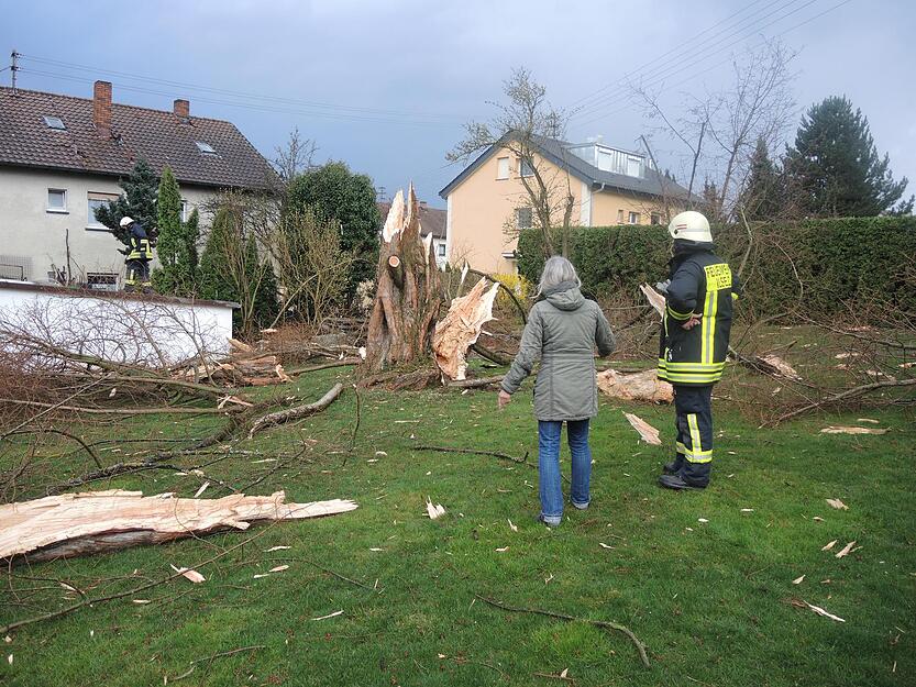 Baum explodiert durch Blitzeinschlag Baum explodiert durch Blitzeinschlag