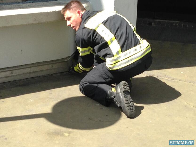 Feuerwehr rettet Entenfamilie | 02.07.