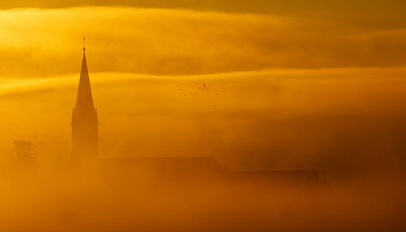 Der Nebel legt sich über Baden-Württemberg. (Symbolbild)
