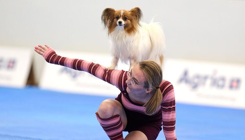 Zum Repertoire geh&ouml;ren zahlreiche Kunstst&uuml;cke.