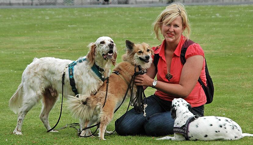 Die Bad Wimpfener Hundetrainerin Sonja Hoegen mit Fitzwilliam, Kaylin und Alanna (von links) in Schottland. Fitz und Kaylin sind innerhalb vier Wochen verstorben. Hoegen hat ihre eigene Art, mit ihrer Trauer umzugehen.
Foto: privat Die Bad Wimpfener Hundetrainerin Sonja Hoegen mit Fitzwilliam, Kaylin und Alanna (von links) in Schottland. Fitz und Kaylin sind innerhalb vier Wochen verstorben. Hoegen hat ihre eigene Art, mit ihrer Trauer umzugehen.
Foto: privat
