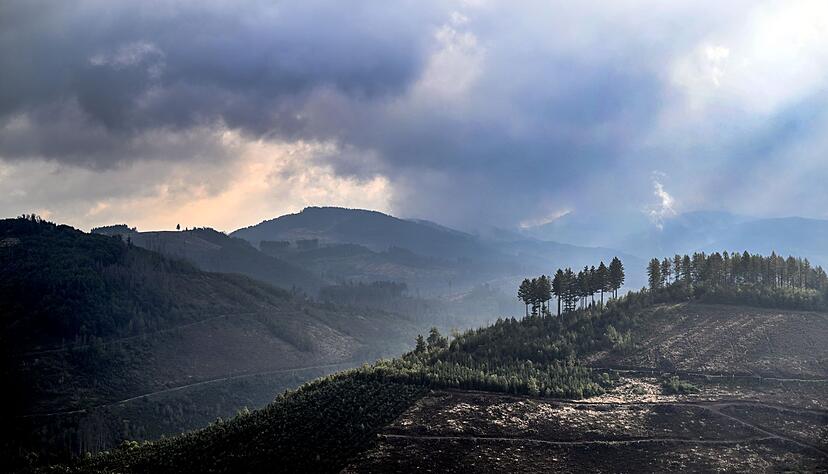 Das Sauerland ist besonders reich an Sagen und Legenden. Zu den mythischen Figuren der Region z&auml;hlen die im Berg und unter der Erde lebenden &laquo;Hollen&raquo; (Archivbild).