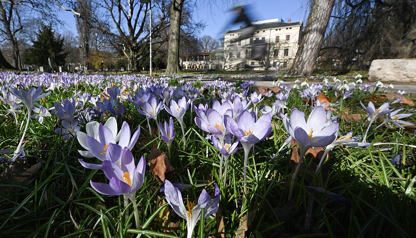 Milde Temperaturen und Sonne erwartet der DWD. (Archivbild)