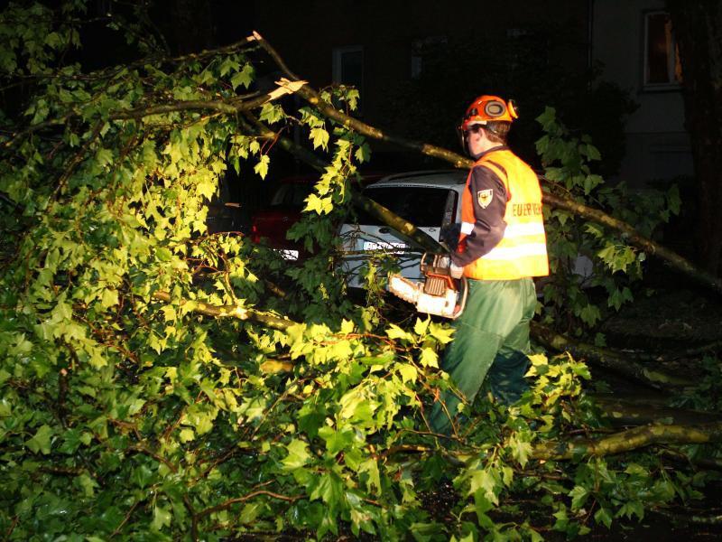Auf vielen Stra&szlig;en bremsten umgest&uuml;rzte B&auml;ume den Verkehr aus. Foto: Ralf Roeger