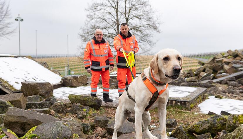 Labrador Buddy ist dreieinhalb Jahre alt und gehört Timo Riexinger (rechts). Der hat den Vorsitz der Rettungshundestaffel Unterland von Günter Baumann übernommen.
Foto: Mario Berger Labrador Buddy ist dreieinhalb Jahre alt und gehört Timo Riexinger (rechts). Der hat den Vorsitz der Rettungshundestaffel Unterland von Günter Baumann übernommen.
Foto: Mario Berger
