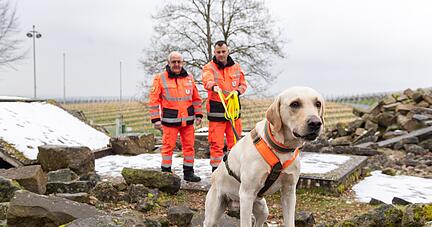 Labrador Buddy ist dreieinhalb Jahre alt und gehört Timo Riexinger (rechts). Der hat den Vorsitz der Rettungshundestaffel Unterland von Günter Baumann übernommen. 
Foto: Mario Berger