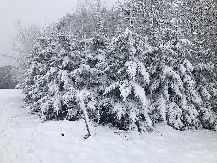Schnee in W&uuml;stenrot