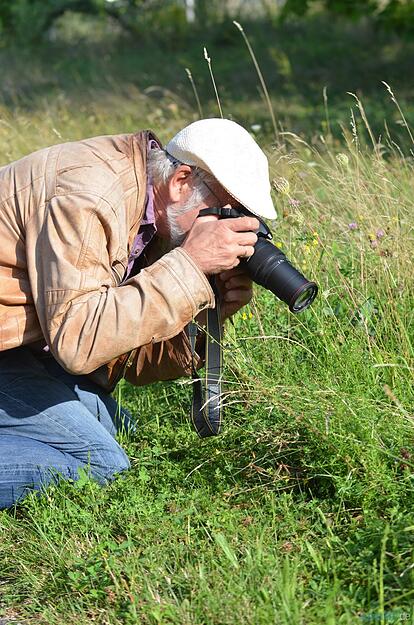 Artenvielfalt im heimischen Garten Artenvielfalt im heimischen Garten