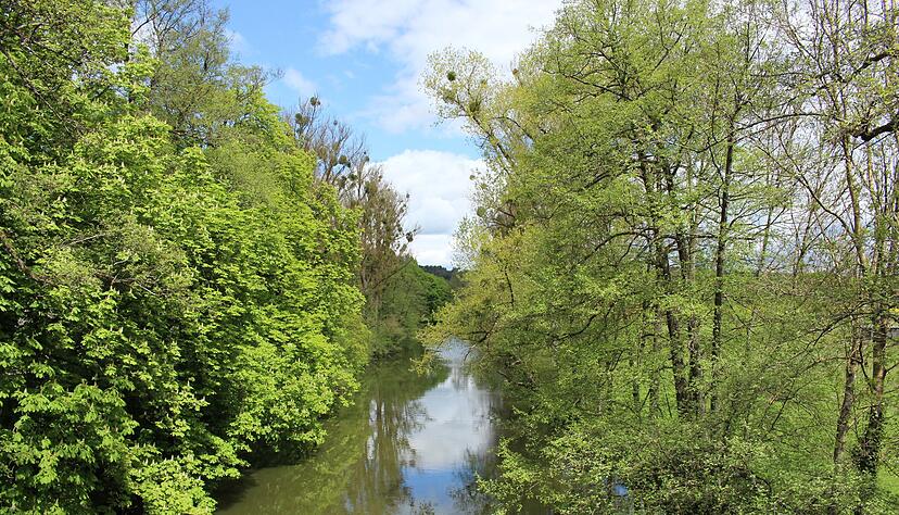 Wasser aus Hohenloher Seen und Flüssen zu entnehmen ist nun eine Monat lang verboten - auch hier an der Jagst bei Schöntal. Wasser aus Hohenloher Seen und Flüssen zu entnehmen ist nun eine Monat lang verboten - auch hier an der Jagst bei Schöntal.