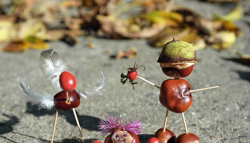 Ein paar Kastanien, Streichh&ouml;lzer und Federn: Schon sind die Kastanien-M&auml;nnchen fertig. (Archivbild)