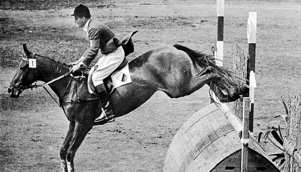Hans G&uuml;nter Winkler besuchte Halla nach deren Karriereende immer wieder auf der Weide. Mit ihr kam der Reiter von 1954 an zu internationalem Ruhm.Fotos: Archiv/dpa