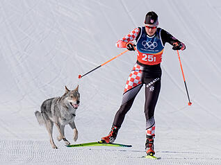Der Hund stand zwar nicht auf der Startliste, schaffte es aber dennoch ins Ziel. Bei der Qualifikation im Teamsprint der Langlauffrauen ist er kurzerhand zum Athleten geworden. Gemeinsam mit der kroatischen L&auml;uferin Tena Hadzic bestritt er die Zielgerade. Gest&ouml;rt hat sich aber keine der Athletinnen gef&uuml;hlt.