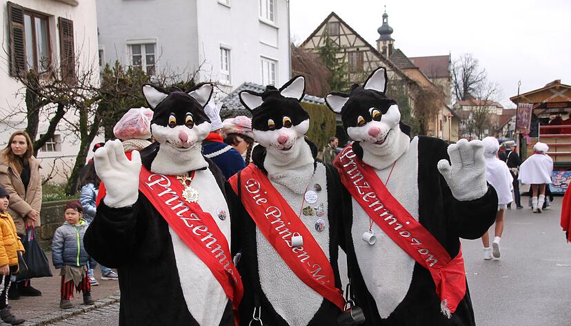 Die Prinzenmiezen können diesmal kein Prinzenpaar begleiten. Es gibt in Talheim keines. Die Prinzenmiezen können diesmal kein Prinzenpaar begleiten. Es gibt in Talheim keines.