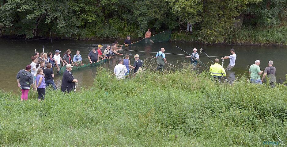 Fischrettung Siglingen | 28.08.2015