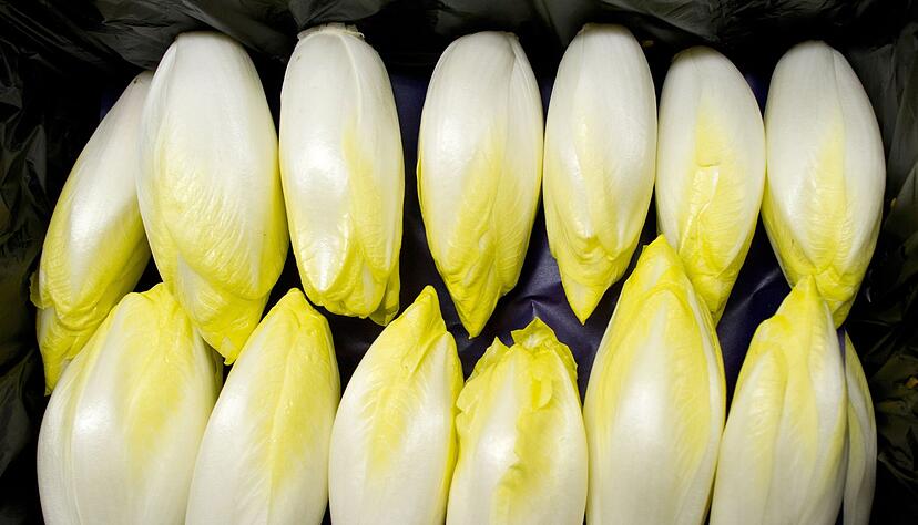 Bitterstoffe f&ouml;rdern die Verdauung: Chicor&eacute;e, Endivien und Radicchio sind besonders reich an diesen sekund&auml;ren Pflanzenstoffen.