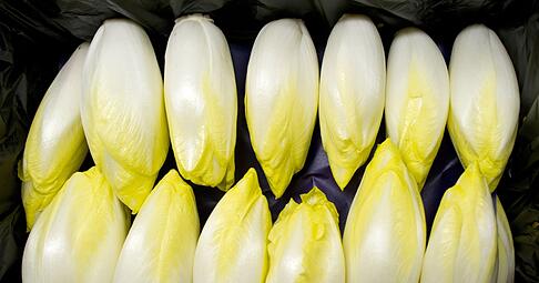 Bitterstoffe f&ouml;rdern die Verdauung: Chicor&eacute;e, Endivien und Radicchio sind besonders reich an diesen sekund&auml;ren Pflanzenstoffen.