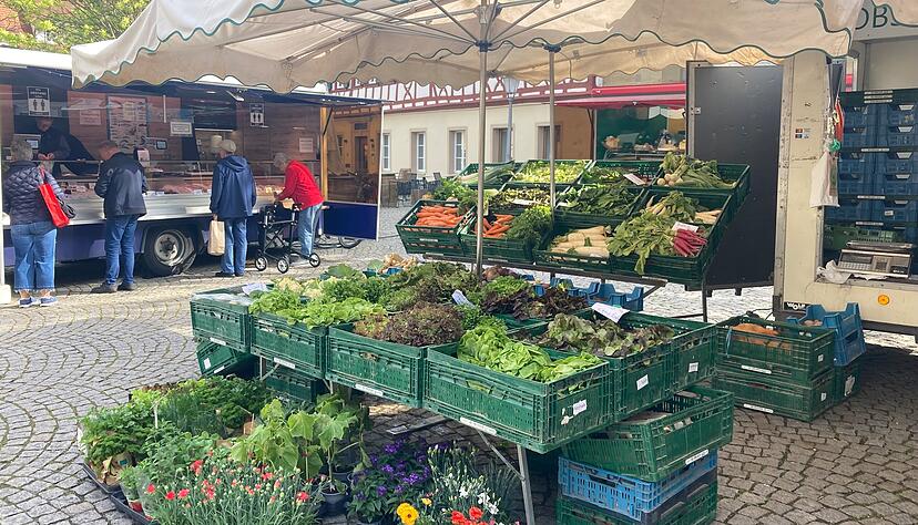 Für regionalen Salat fängt die Saison mit dem Frühlingseinzug an. 15 verschiedene Sorten aus eigenem Anbau werden vom Obstbau Schmelzle angeboten. Für regionalen Salat fängt die Saison mit dem Frühlingseinzug an. 15 verschiedene Sorten aus eigenem Anbau werden vom Obstbau Schmelzle angeboten.