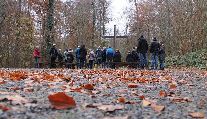 Auch Schwaigern hat einen Friedwald. Auch Schwaigern hat einen Friedwald.