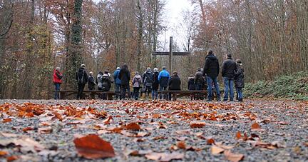 Auch Schwaigern hat einen Friedwald. Auch Schwaigern hat einen Friedwald.