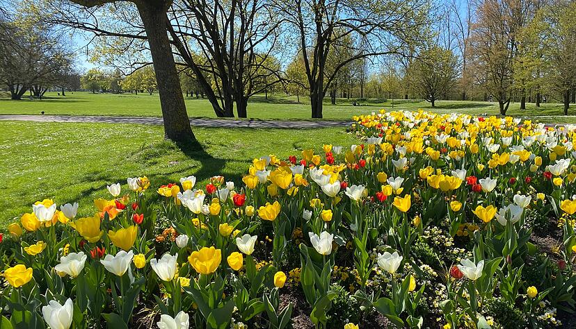 Bl&uuml;hende Farben und strahlender Sonnenschein: Der Wertwiesenpark zeigt sich gerade von seiner besten Seite