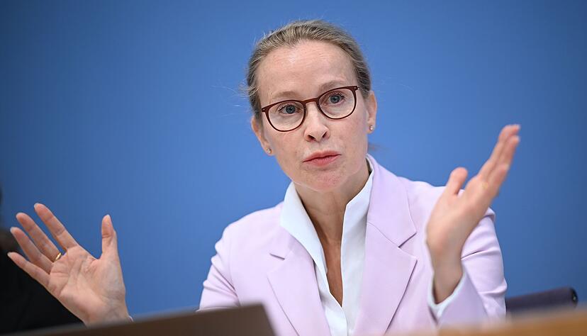 Die Wahl der Potsdamer Rechtswissenschaftlerin Frauke Brosius-Gersdorf scheiterte Mitte Juli am Widerstand der Union. (Archivbild) Die Wahl der Potsdamer Rechtswissenschaftlerin Frauke Brosius-Gersdorf scheiterte Mitte Juli am Widerstand der Union. (Archivbild)