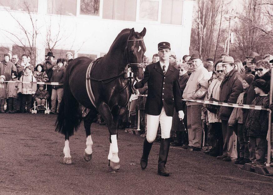Impressionen aus 60 Jahren Pferdemarkt