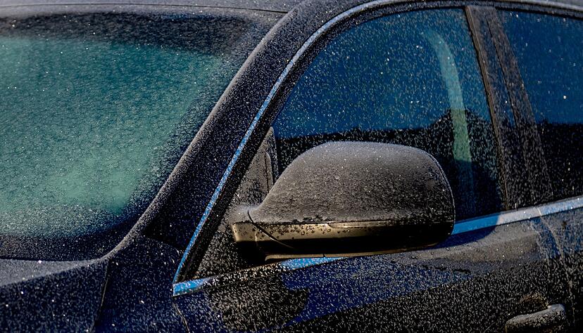 Kleine Eiszeit: Damit sie nicht festfrieren, sollten Türdichtungen mit entsprechenden Mitteln gepflegt werden. Kleine Eiszeit: Damit sie nicht festfrieren, sollten Türdichtungen mit entsprechenden Mitteln gepflegt werden.