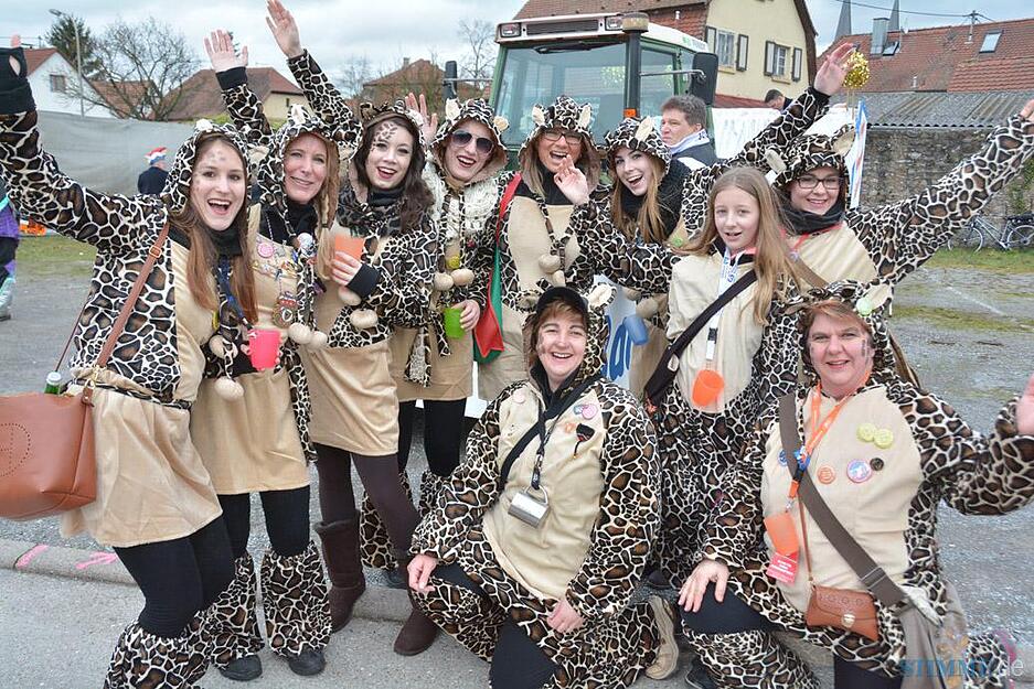 Faschingsumzug Bad Wimpfen II | 07.02. Faschingsumzug Bad Wimpfen II | 07.02.