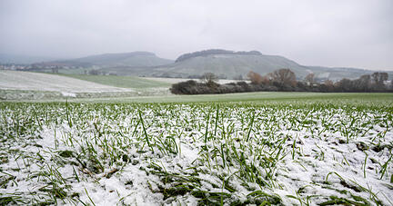 Schnee im Bottwartal Schnee im Bottwartal