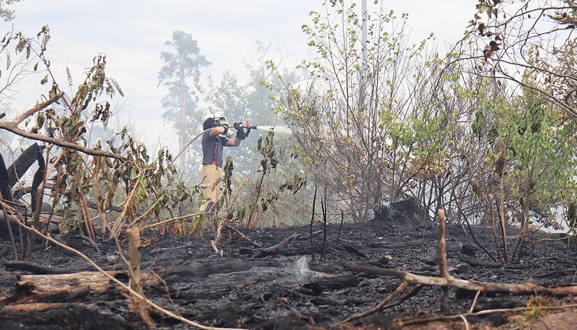 Die Feuerwehr löscht einen Waldbrand im Hockenheimer Hardt. In der Nähe der Rennstrecke Hockenheim ist ein Feuer ausgebrochen.
