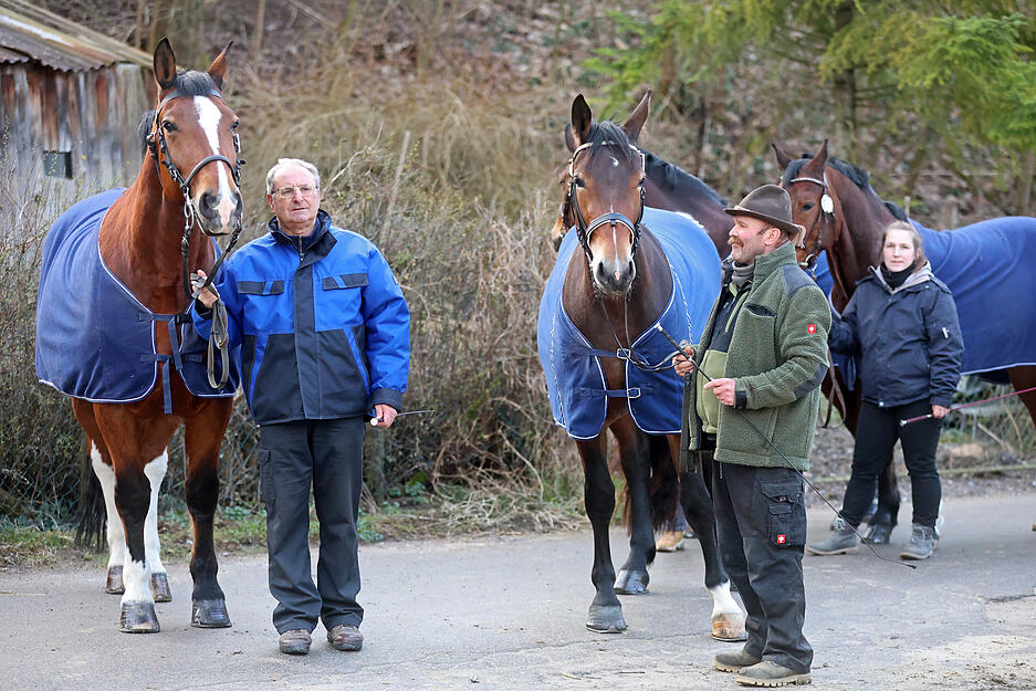 Prämierung beim Heilbronner Pferdemarkt mit 172 Pferden und Ponys
