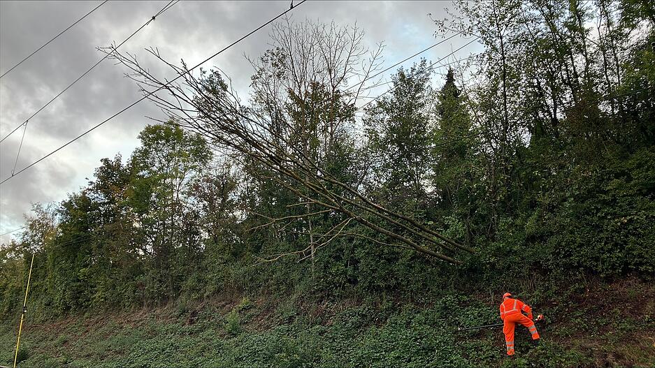 Wegen des Sturms ist ein Baum in eine Oberleitung an der Heilbronner Haltestelle Trappensee gestürzt. Der Stadtbahnverkehr musste vormittags eingestellt werden. Wegen des Sturms ist ein Baum in eine Oberleitung an der Heilbronner Haltestelle Trappensee gestürzt. Der Stadtbahnverkehr musste vormittags eingestellt werden.