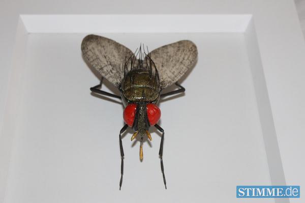 Sindringer Töpfermarkt | 19.05. Sindringer Töpfermarkt | 19.05.