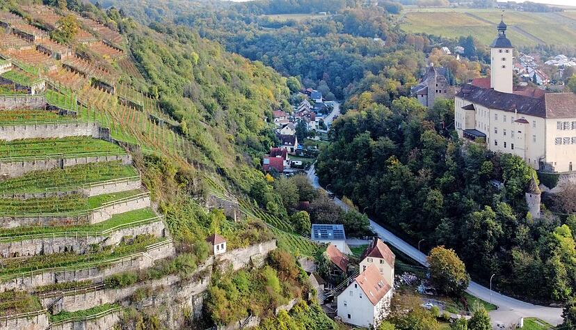 Das Gundelsheimer Himmelreich gehört zu den Württemberger Top-Lagen.  Foto: Ralf Seidel