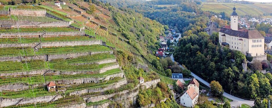 Das Gundelsheimer Himmelreich gehört zu den Württemberger Top-Lagen.  Foto: Ralf Seidel