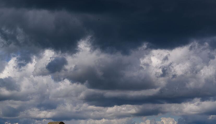 Die Getreideernte im S&uuml;dwesten wird durch Regen erschwert. (Archivbild)