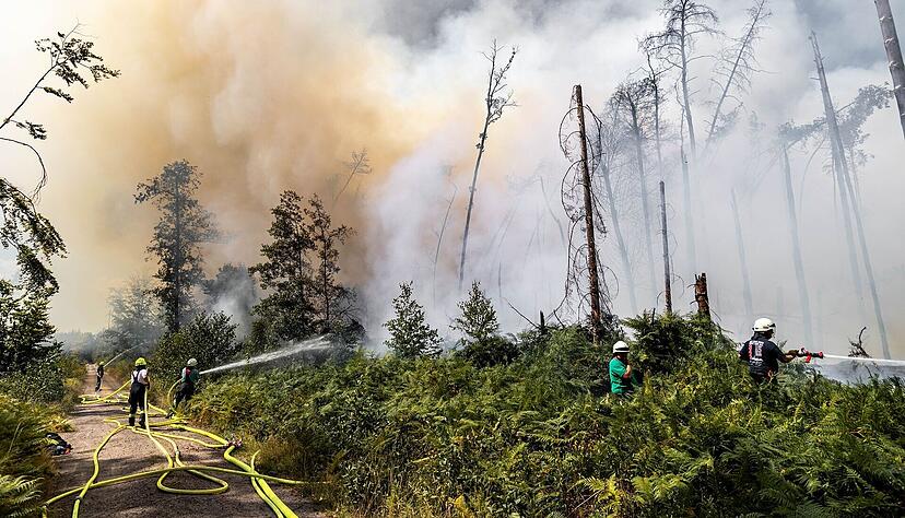 Feuerwehrleute im Einsatz bei einem Waldbrand in Brandenburg. Die Zahl der Br&auml;nde stieg auch 2023 weiter an. (Symbolbild)