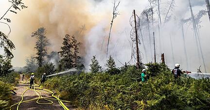 Feuerwehrleute im Einsatz bei einem Waldbrand in Brandenburg.