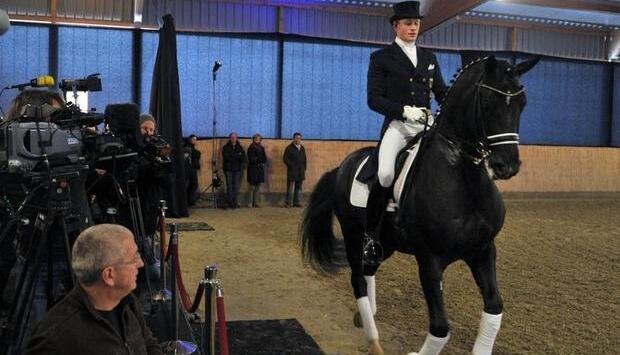 Rath und Totilas defilieren an den angereisten Medienvertretern vorbei.