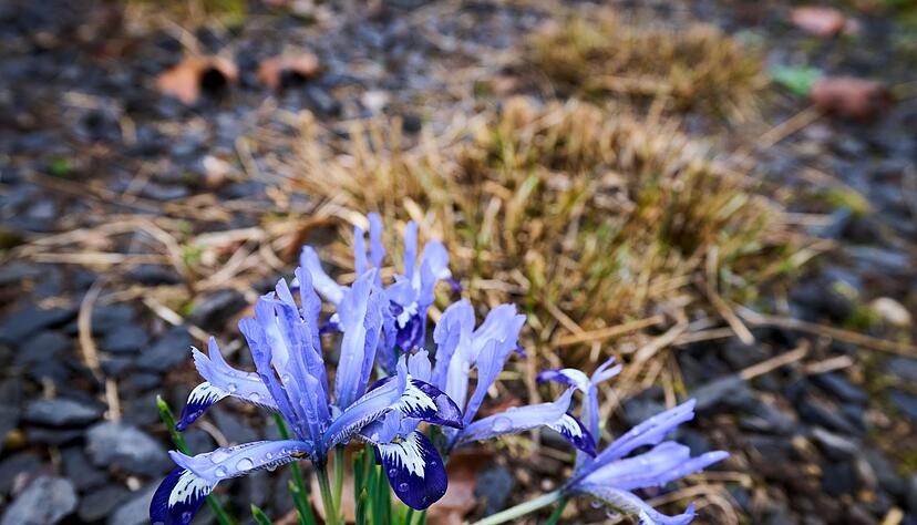 Die Temperaturen klettern in den nächsten Tagen in die Höhe. Die Temperaturen klettern in den nächsten Tagen in die Höhe.