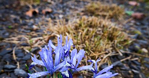 Die Temperaturen klettern in den n&auml;chsten Tagen in die H&ouml;he.
