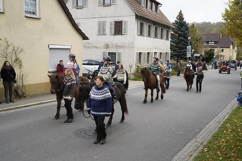Der Herbstpferdemarkt in Dörzbach am Samstag, dem 2. November 2024, lockte viele Besucher an.