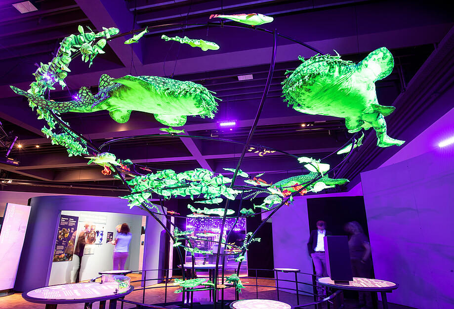 Tiefsee-Sonderausstellung in der Experimenta Tiefsee-Sonderausstellung in der Experimenta