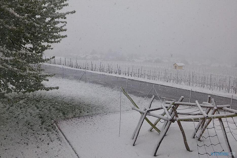 Auf dem Haigern in Talheim lag am Morgen eine weiße Schneedecke.
