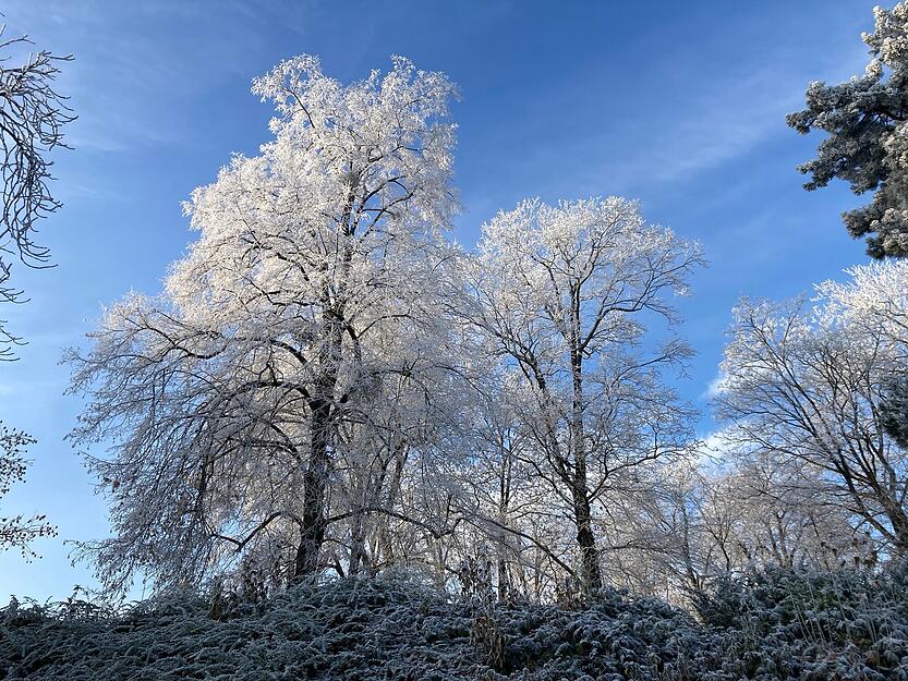 Bei Temperaturen im Minusbereich kommt winterliche Stimmung auf. Bei Temperaturen im Minusbereich kommt winterliche Stimmung auf.