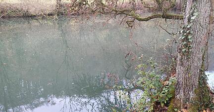 Gew&auml;sserverunreinigung in der Seckach bei M&ouml;ckm&uuml;hl