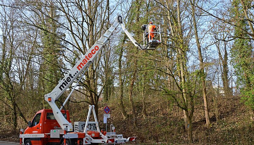 Arbeiter beginnen mit der Ausdünnung der Gehölze am Lerchenbergtunnel. Anwohner sind besorgt &minus; und auch ein Verein hat ein Wörtchen mitzureden.
Foto: Julian Ruf