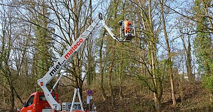 Arbeiter beginnen mit der Ausdünnung der Gehölze am Lerchenbergtunnel. Anwohner sind besorgt − und auch ein Verein hat ein Wörtchen mitzureden.
Foto: Julian Ruf Arbeiter beginnen mit der Ausdünnung der Gehölze am Lerchenbergtunnel. Anwohner sind besorgt − und auch ein Verein hat ein Wörtchen mitzureden.
Foto: Julian Ruf